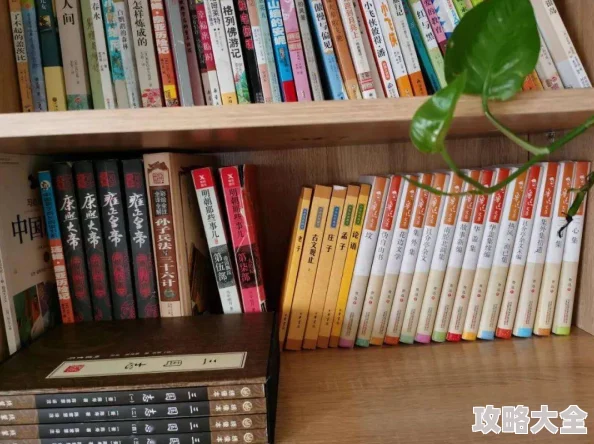 农村刮伦小说目录传递温暖与希望让我们共同努力创造美好未来